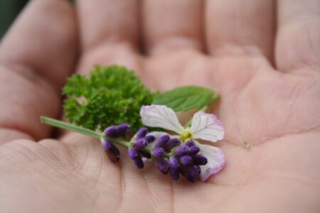 Els d'r Herbmix 2021