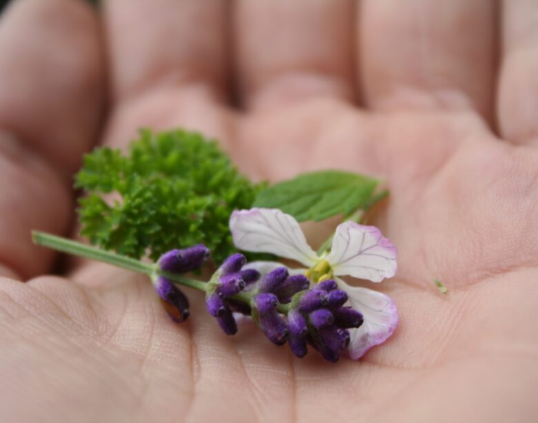 Els d'r Herbmix 2021